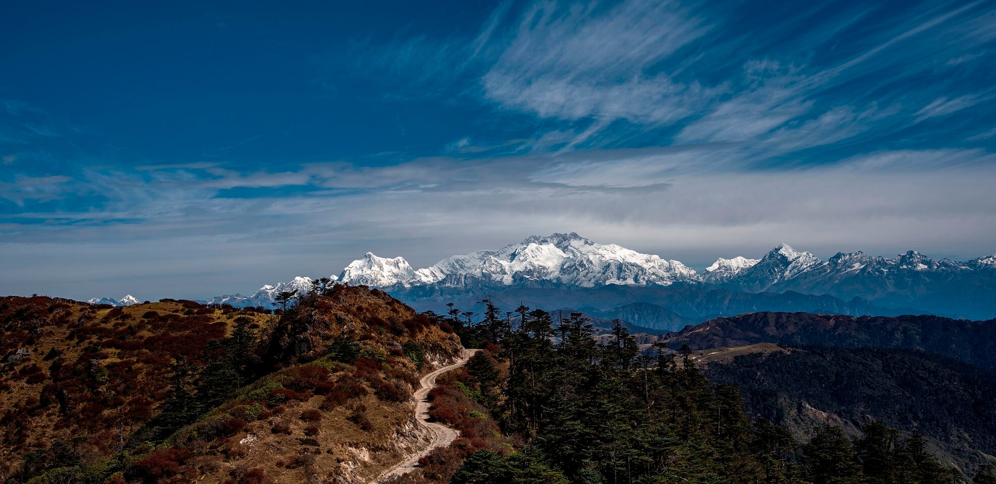 Kanchenjunga mountain range at sunrise from Singalila Ridge